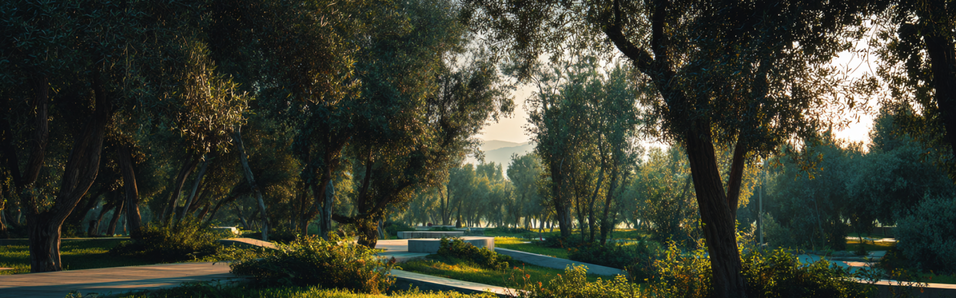 fgeorgina_modern_park_lots_of_greens_award_winning_photograph_33655eb1-d2c0-4344-bcbe-ef5793f06de8_1
